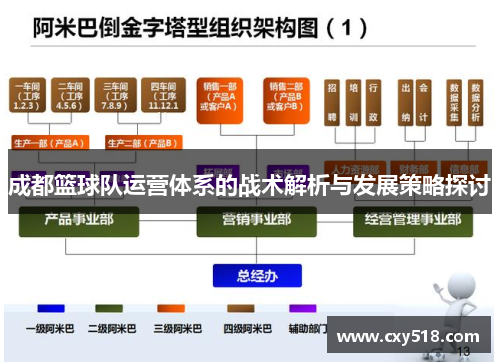 成都篮球队运营体系的战术解析与发展策略探讨